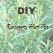 Load image into Gallery viewer, Rosemary Hair Tea
